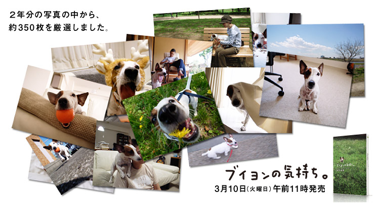 �R��10���i�΁j�ߑO11���A �Q�������ɔ̔��X�^�[�g�B