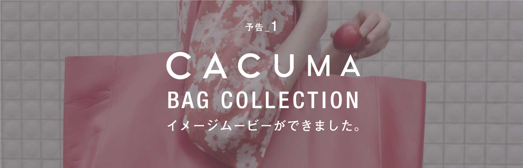 予告1 CACUMA BAG COLLECTION イメージムービーができました。