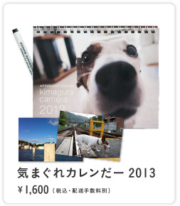 �C�܂���J�������[2013�@��1600�i�ō��E�z���萔���ʁj