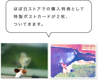 ほぼ日ストアでの購入特典として特製ポストカードが２枚、ついてきます。