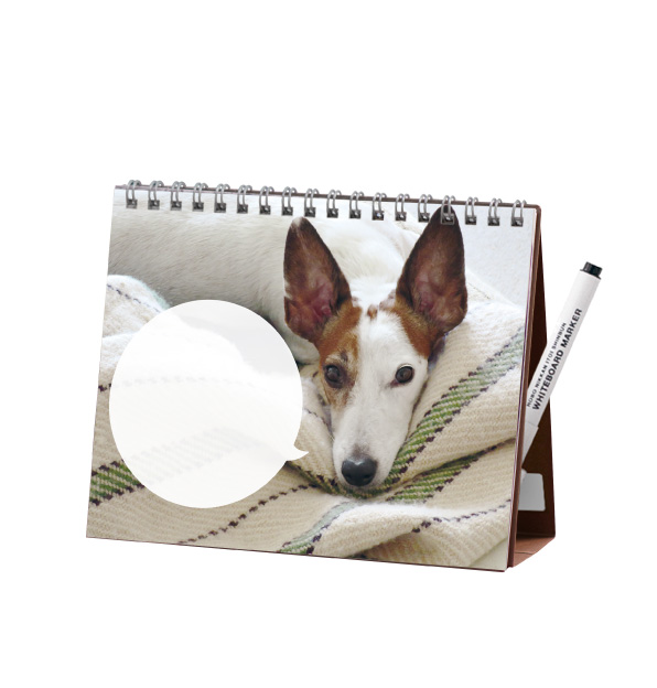 メッセージボード 1