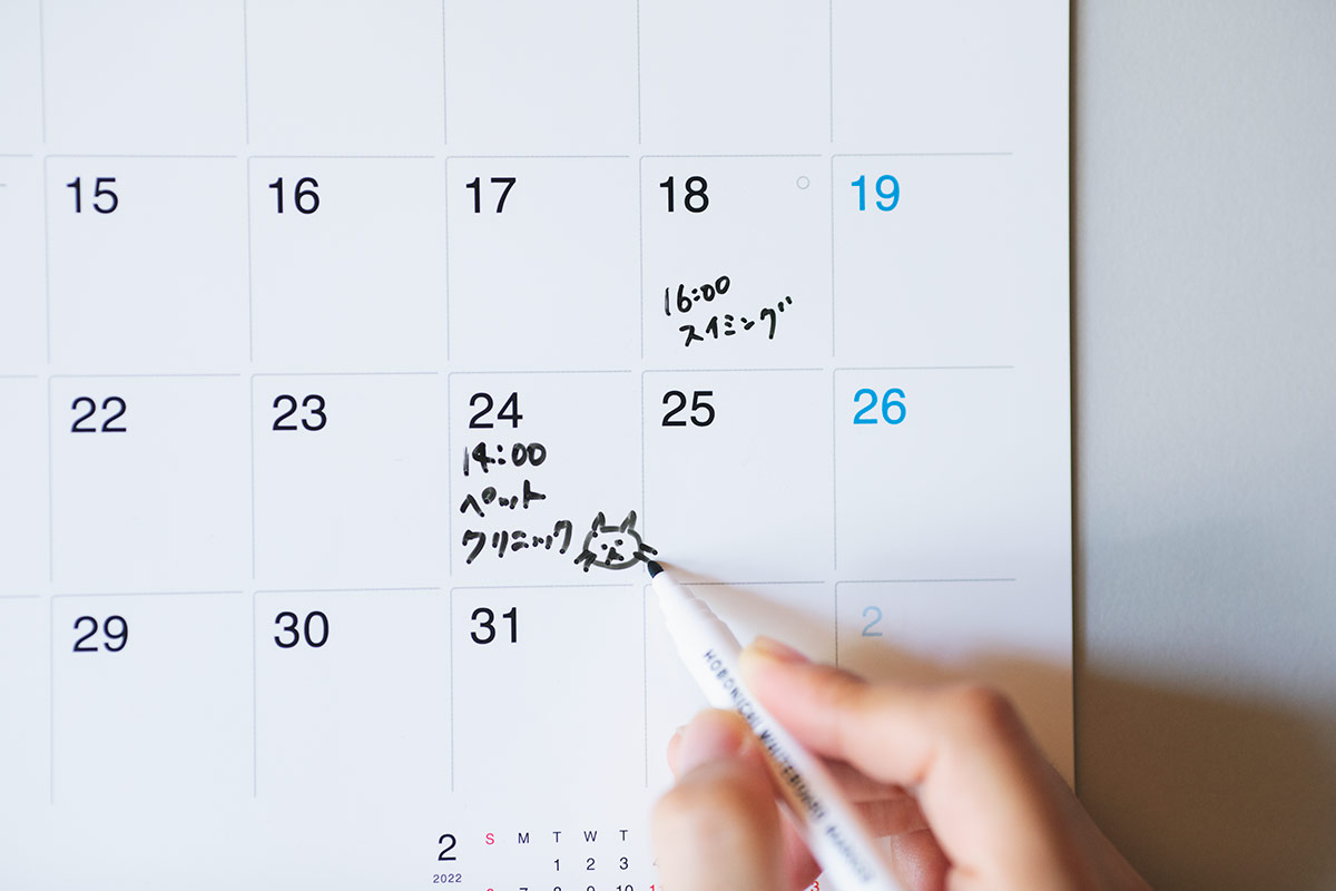 ミディアム - ほぼ日ホワイトボードカレンダー2022 - ほぼ日刊