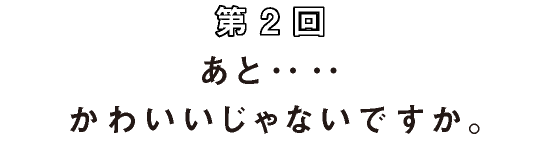 第2回　あと‥‥かわいいじゃないですか。