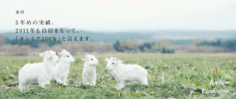 f 5N߂̎сB2011NMāAuJV~A100vƌ܂B