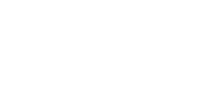 DAMN PLAIN T-SHIRTS すごくプレーンなTシャツ