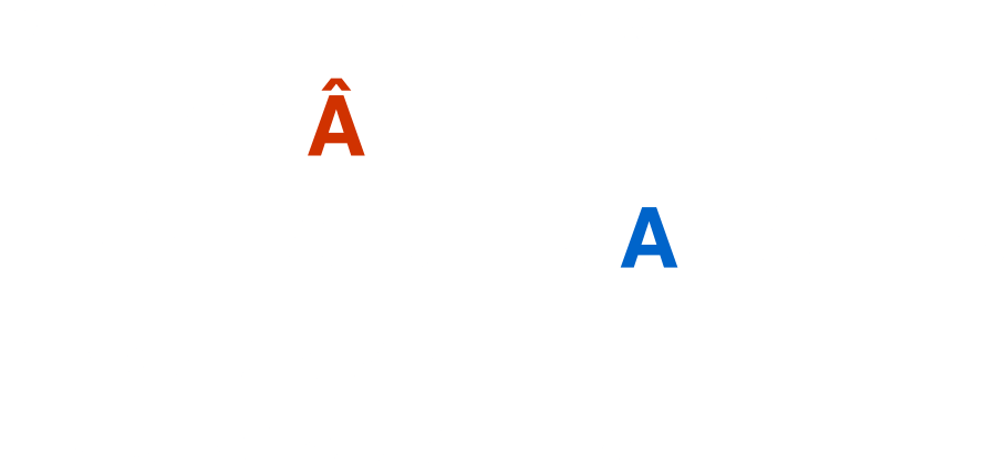 DEUX HAUTS EN CACHEMIRE et UN CHALE AVEC DES ENVIES DE MANCHES 2つのカシミアと袖をほしがったショール