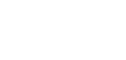 DAMN PLAIN T-SHIRTS すごくプレーンなTシャツ