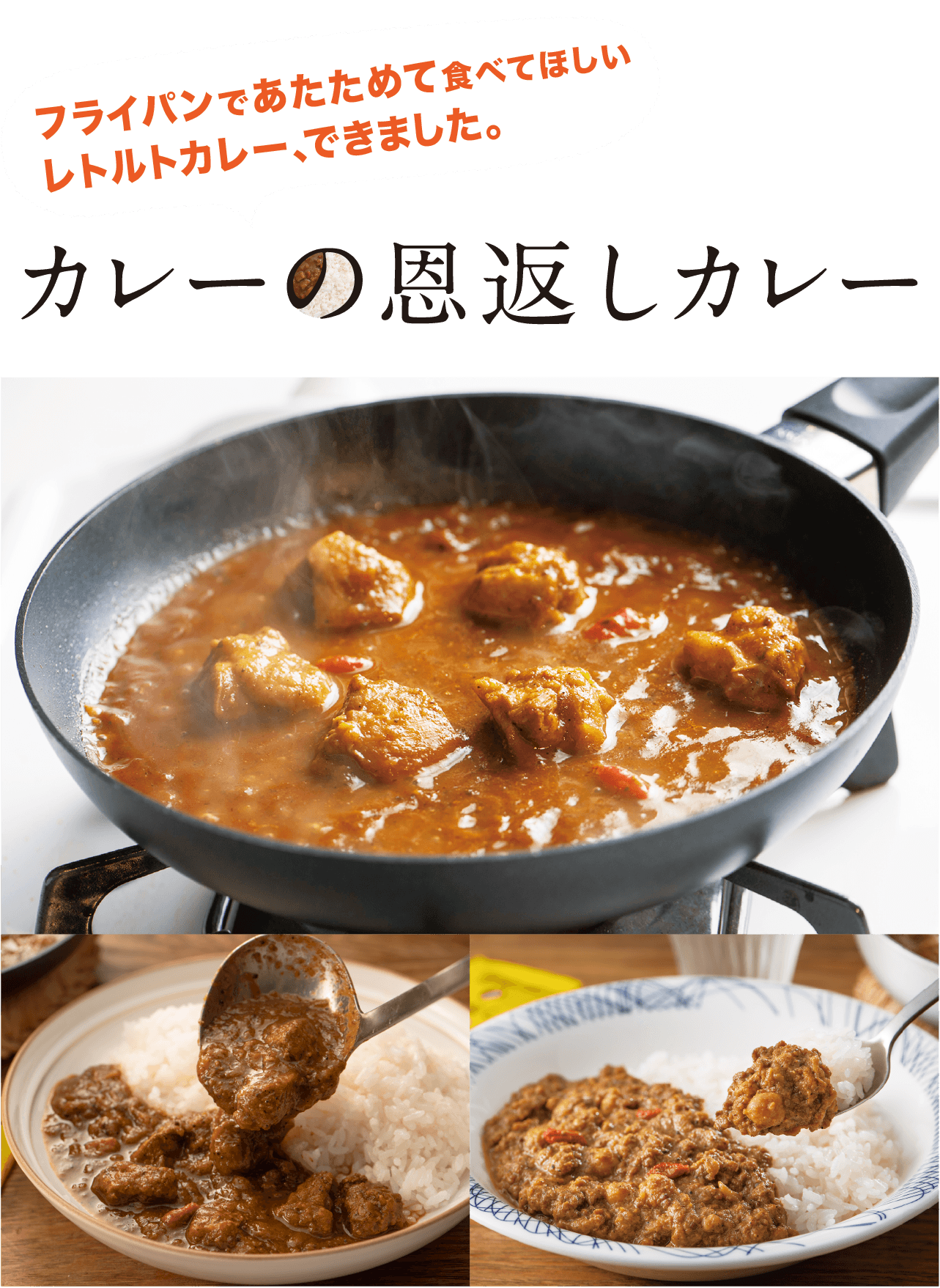 カレーの恩返しカレー カレーの恩返し