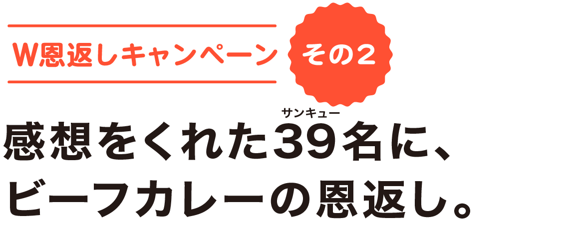 W恩返しキャンペーン＜その２＞感想をくれた39名に、ビーフカレーの恩返し。