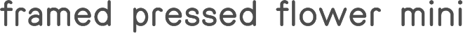 framed pressed flower mini