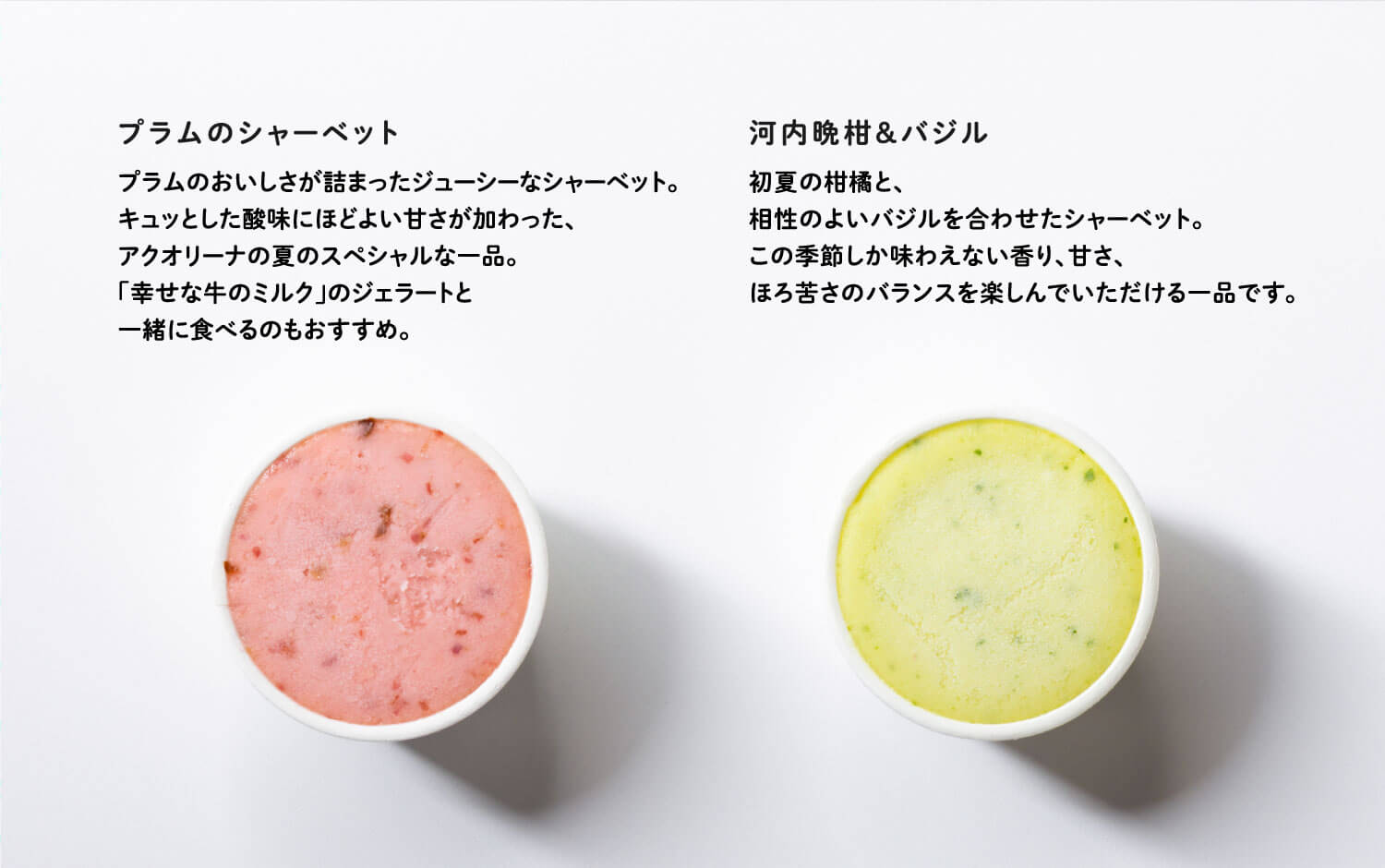 プラムのシャーベット 河内晩柑＆バジル