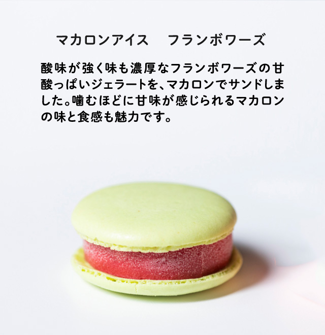 マカロンアイス フランボワーズ