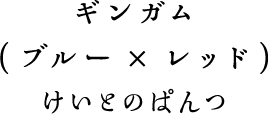 ギンガム（ブルー×レッド）（けいとのぱんつ）