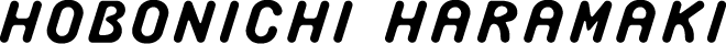 HOBONICHI HARAMAKI