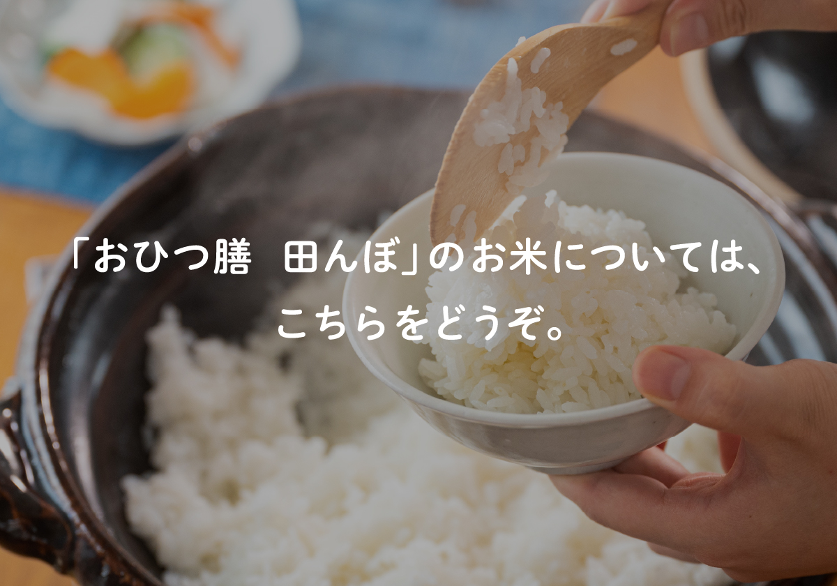 「おひつ膳　田んぼ」のお米については、こちらをどうぞ。