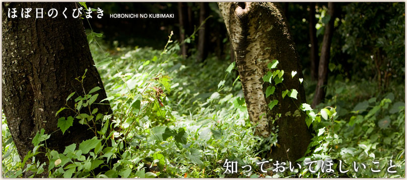 ほぼ日のくびまき ほぼ日のくびまき