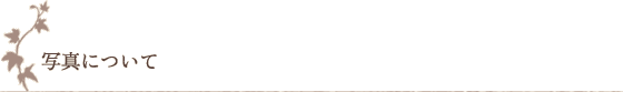 写真について 写真について