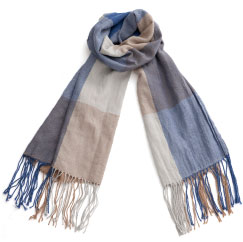 傫ȃubN`FbNiu[ƃx[Wj