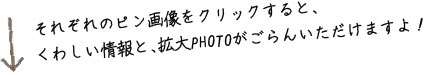 それぞれのピン画像をクリックすると、くわしい情報と、拡大PHOTOがごらんいただけますよ!