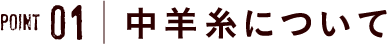 point1 中羊糸について