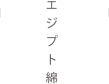 エジプト綿