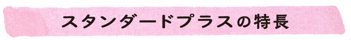 スタンダードプラスの特長