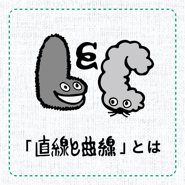 「直線と曲線」とは