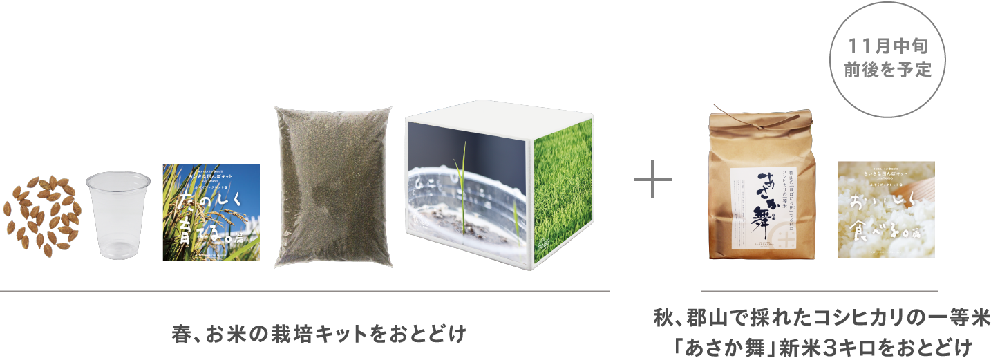 ちいさな田んぼキット スタンダード コース