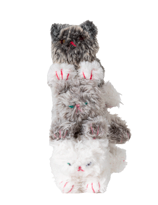 kittens | Miknits 2025 - ほぼ日