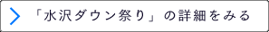 「水沢ダウン祭り」の詳細をみる