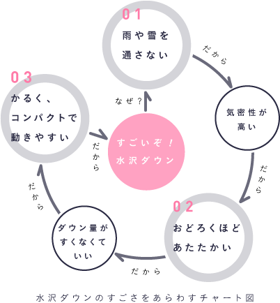 水沢ダウンのすごさをあらわすチャート図