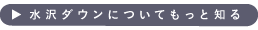 水沢ダウンについてもっと知る