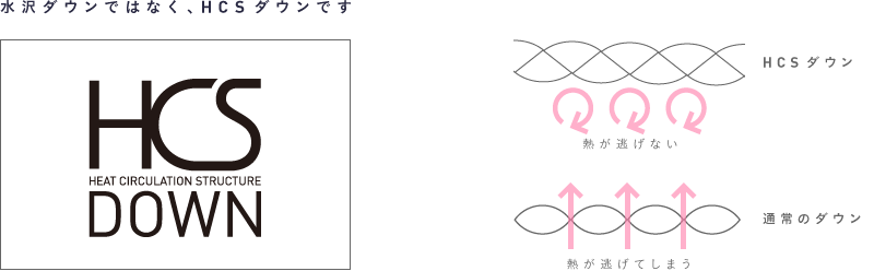 水沢ダウンではなく、HCSダウンです