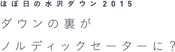 ほぼ日の水沢ダウン2015 ダウンの裏がノルディックセーターに？