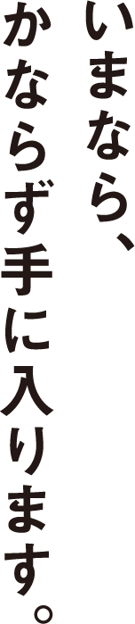 いまなら、かならず手に入ります。