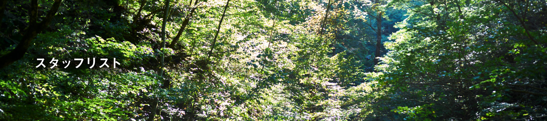 スタッフリスト
