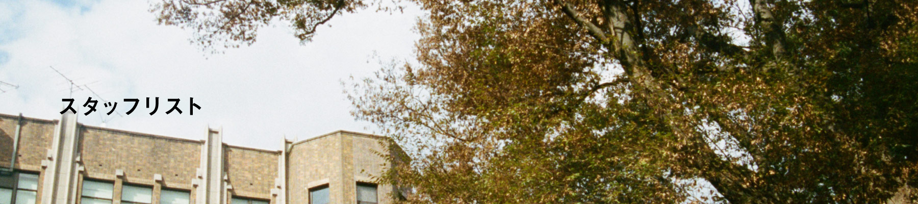 スタッフリスト
