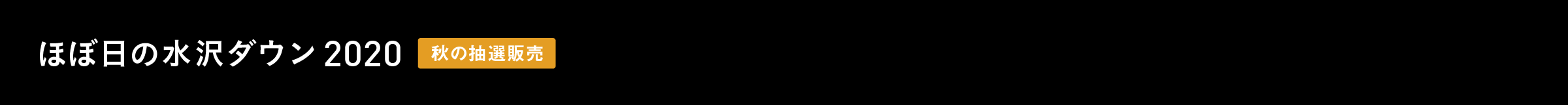 ほぼ日の水沢ダウン2020《秋の抽選販売》