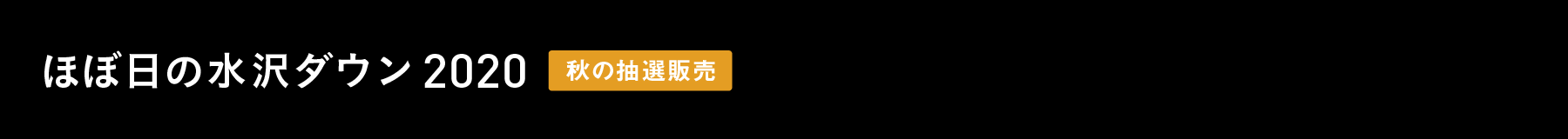 ほぼ日の水沢ダウン2020《秋の抽選販売》
