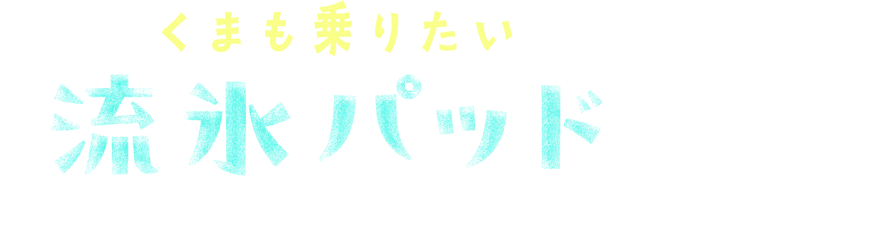「くまも乗りたい流氷パッド」登場