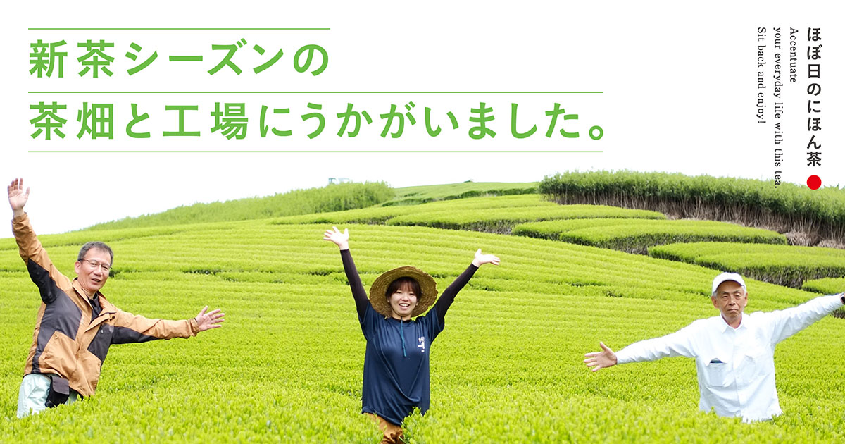 新茶シーズンの茶畑と工場にうかがいました。- ほぼ日刊イトイ新聞
