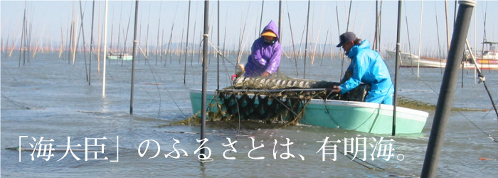 「海大臣」のふるさとは、有明海。