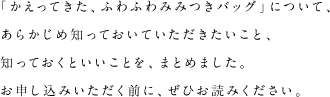 「かえってきた。ふわふわみみつきバッグ」について、あらかじめ知っておいていただきたいこと、知っておくといいことを、まとめました。お申し込みいただく前に、ぜひお読みください。