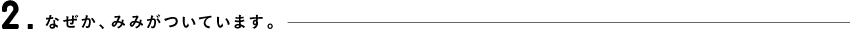 2.なぜか、みみがついています。
