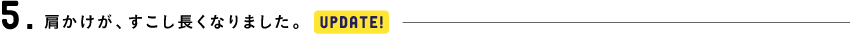 5.肩かけが、すこし長くなりました。[UPDATE!]