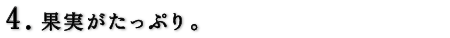 果実がたっぷり。