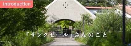 『サンクゼール』さんのこと