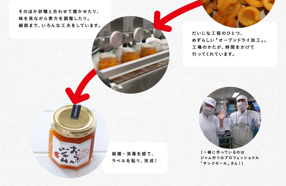 日本一のあんずの里、長野県千曲市の人気のあんず農家さんのとれたてのあんずを‥‥（糸井も以前、畑にお邪魔させていただきました）　→　おいしさを損なわないよう、収穫してすぐ工場に運び、下ごしらえ。（一緒に作っているのはジャム作りのプロフェッショナル「サンクゼール」さん！）　→　だいじな工程のひとつ、めずらしい「オーブンドライ加工」。工場のかたが、時間をかけて行ってくれています。　→　そのほか砂糖と合わせて寝かせたり、味を見ながら煮方を調整したり。細部まで、いろんな工夫をしています。　→　殺菌・消毒を経て、ラベルを貼り、完成！
