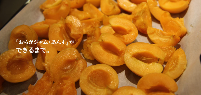 おらがジャム・あんずができるまで。
