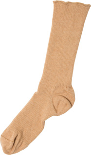 サリーフォックスブラウン